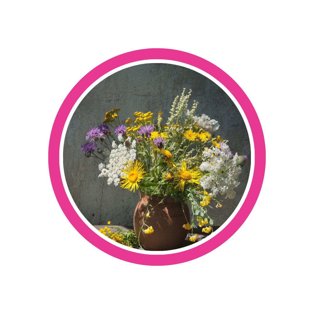 Flores do campo